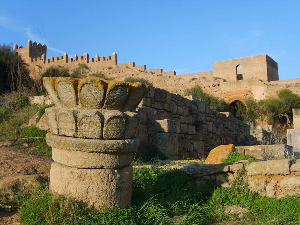 Rabat_Chellah_ruins_7
