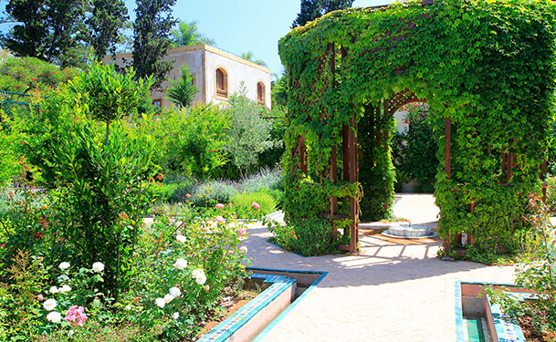 botanical-garden-experiments
